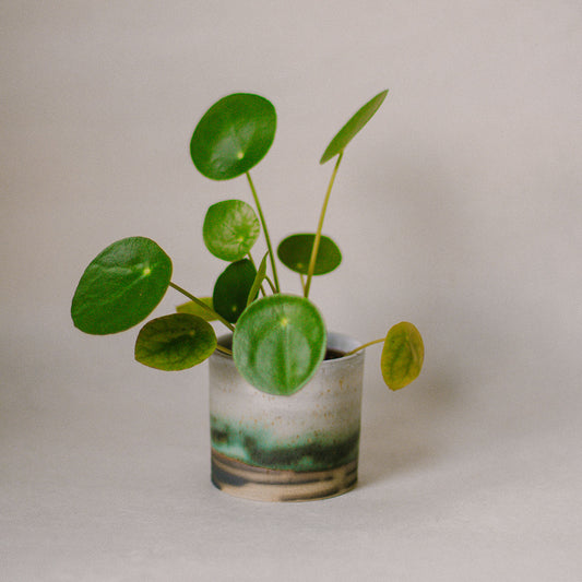Copper Drift Ceramic Plant Pot (Small)