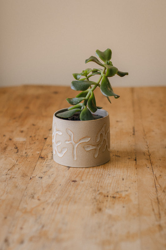 Vine Carved Ceramic Plant Pot