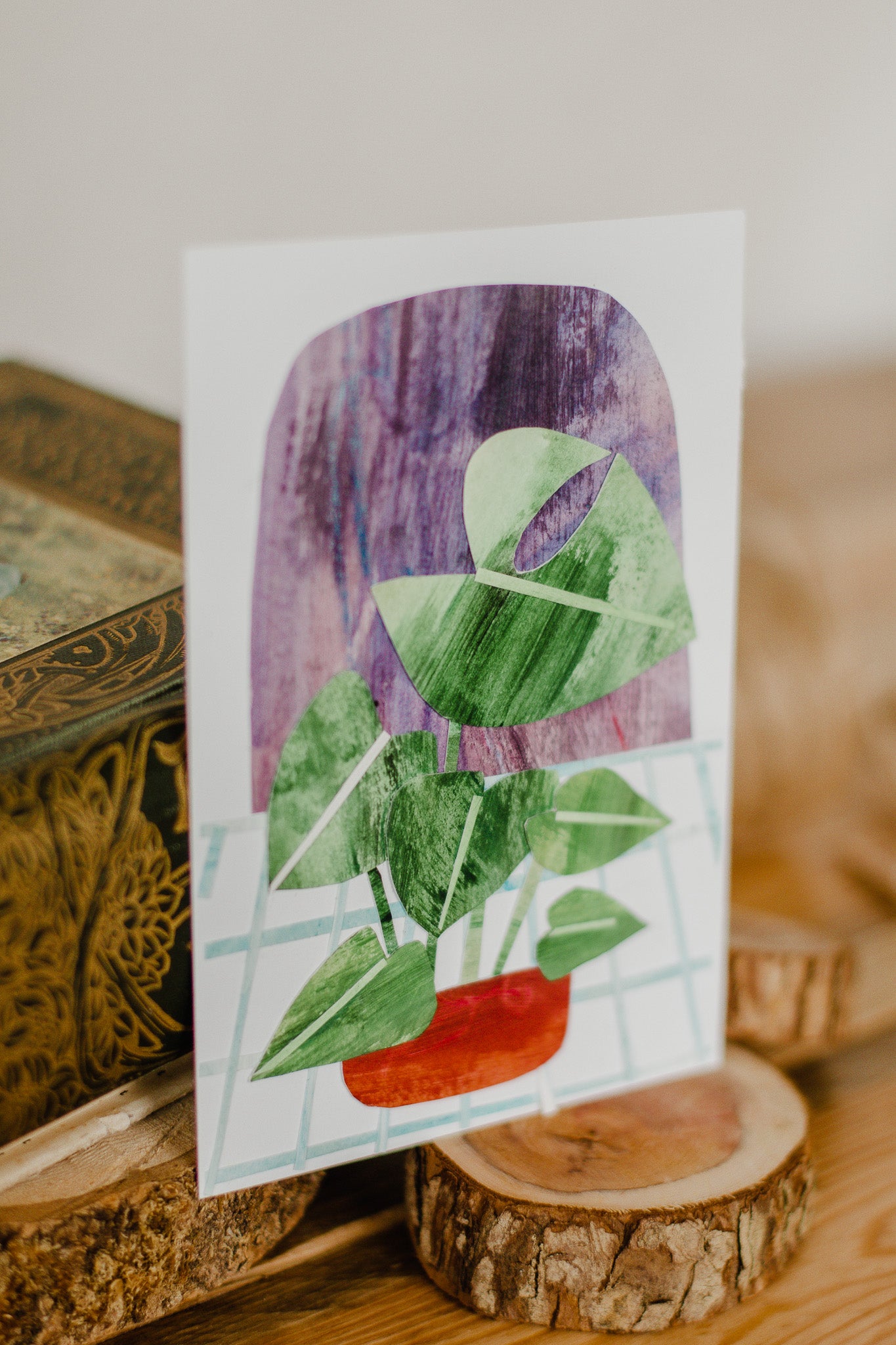 Original Collage Monstera plant