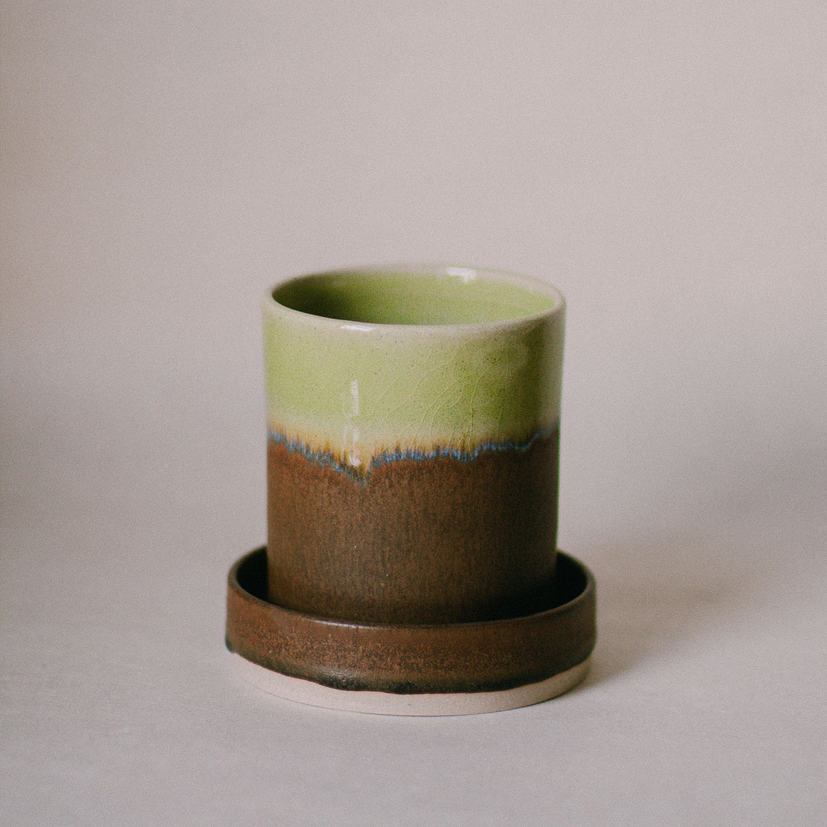 Forest Floor Plant Pot and Dish Set