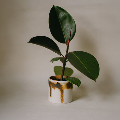Iron Drip Plant Pot