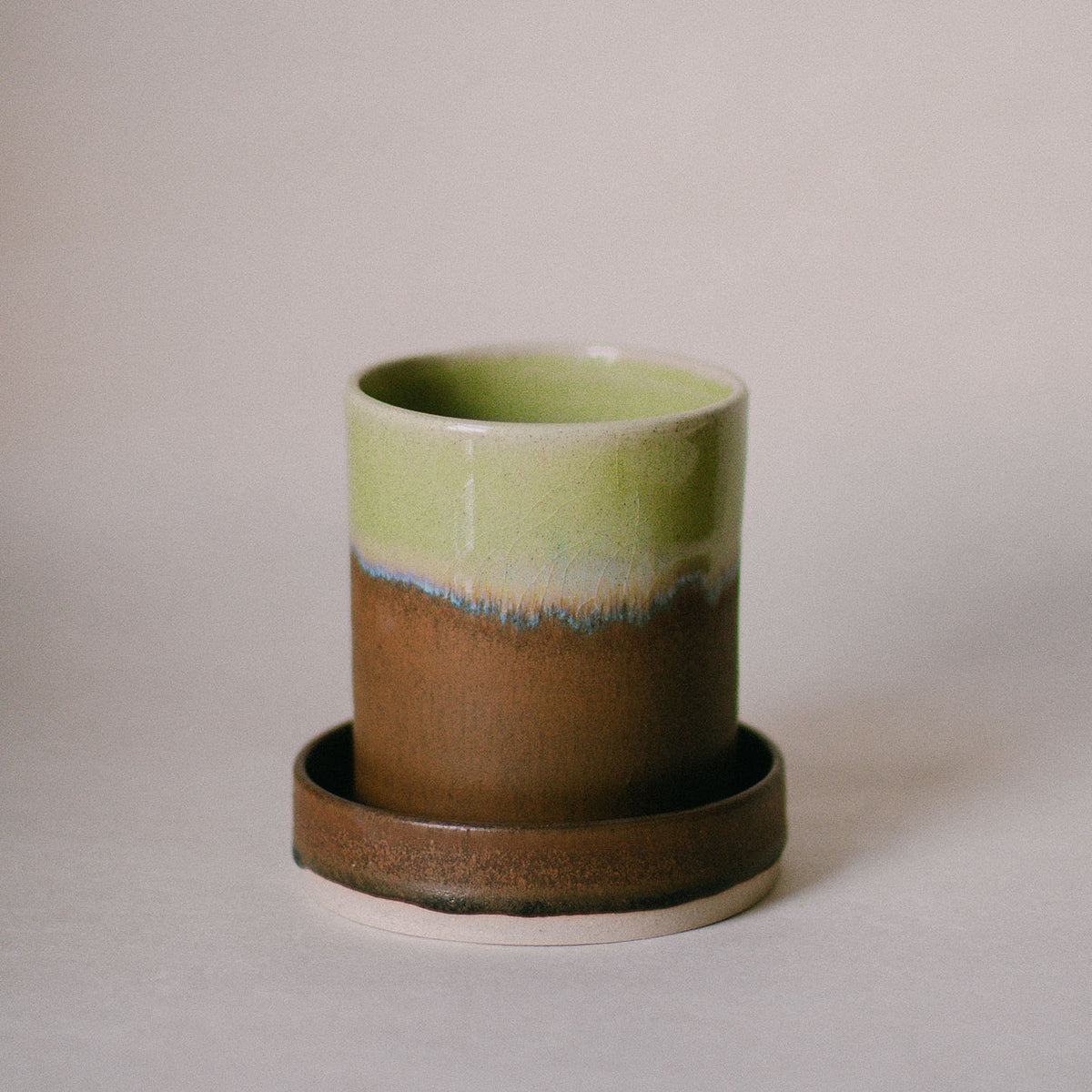 Forest Floor Plant Pot and Dish Set