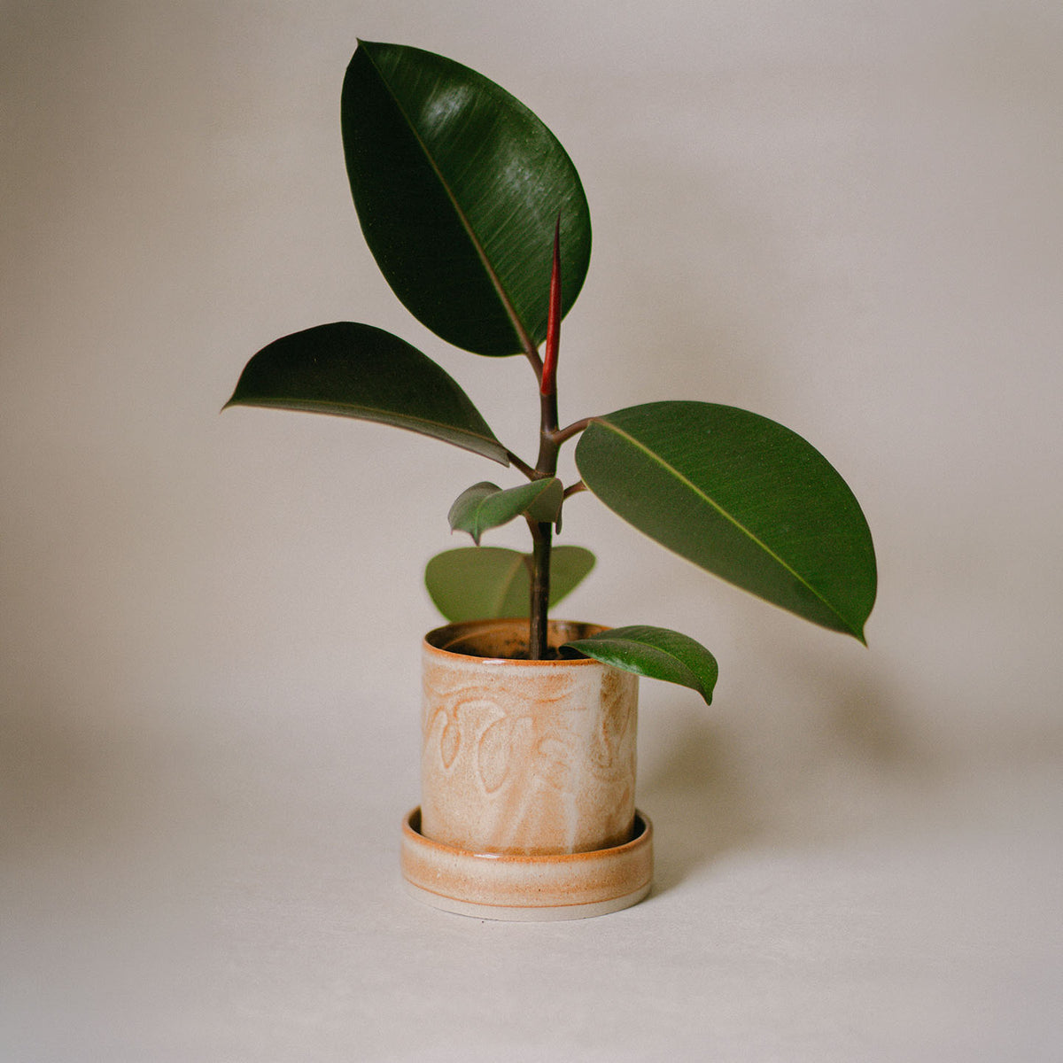 Speckled Ochre Embossed Vine Plant Pot Set