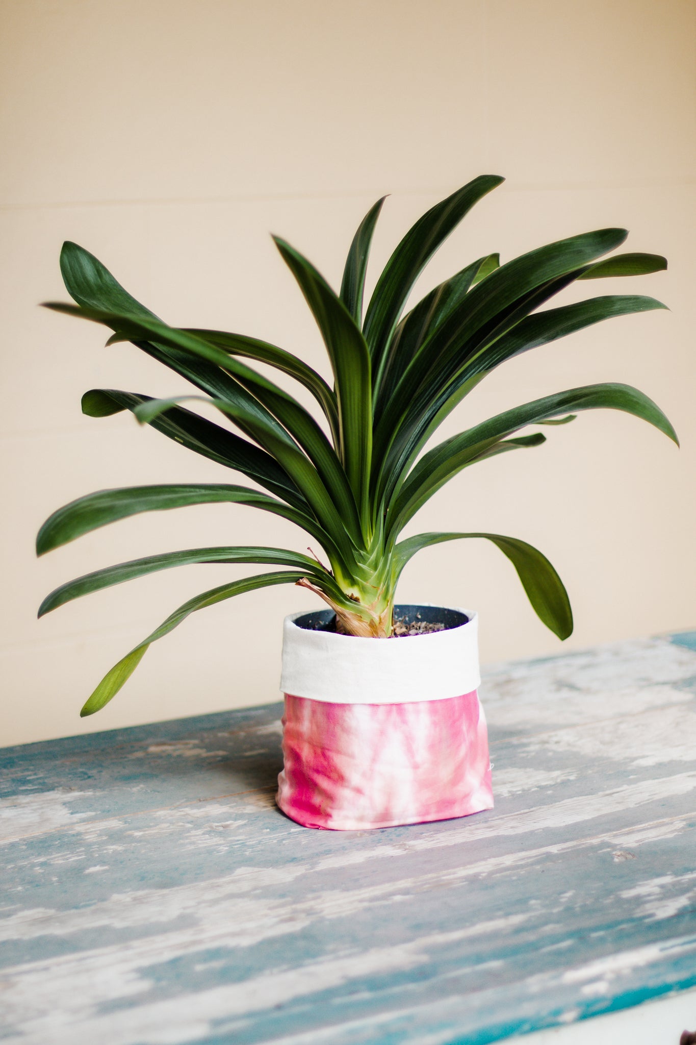 Hand-Dyed Pink Fabric Planter