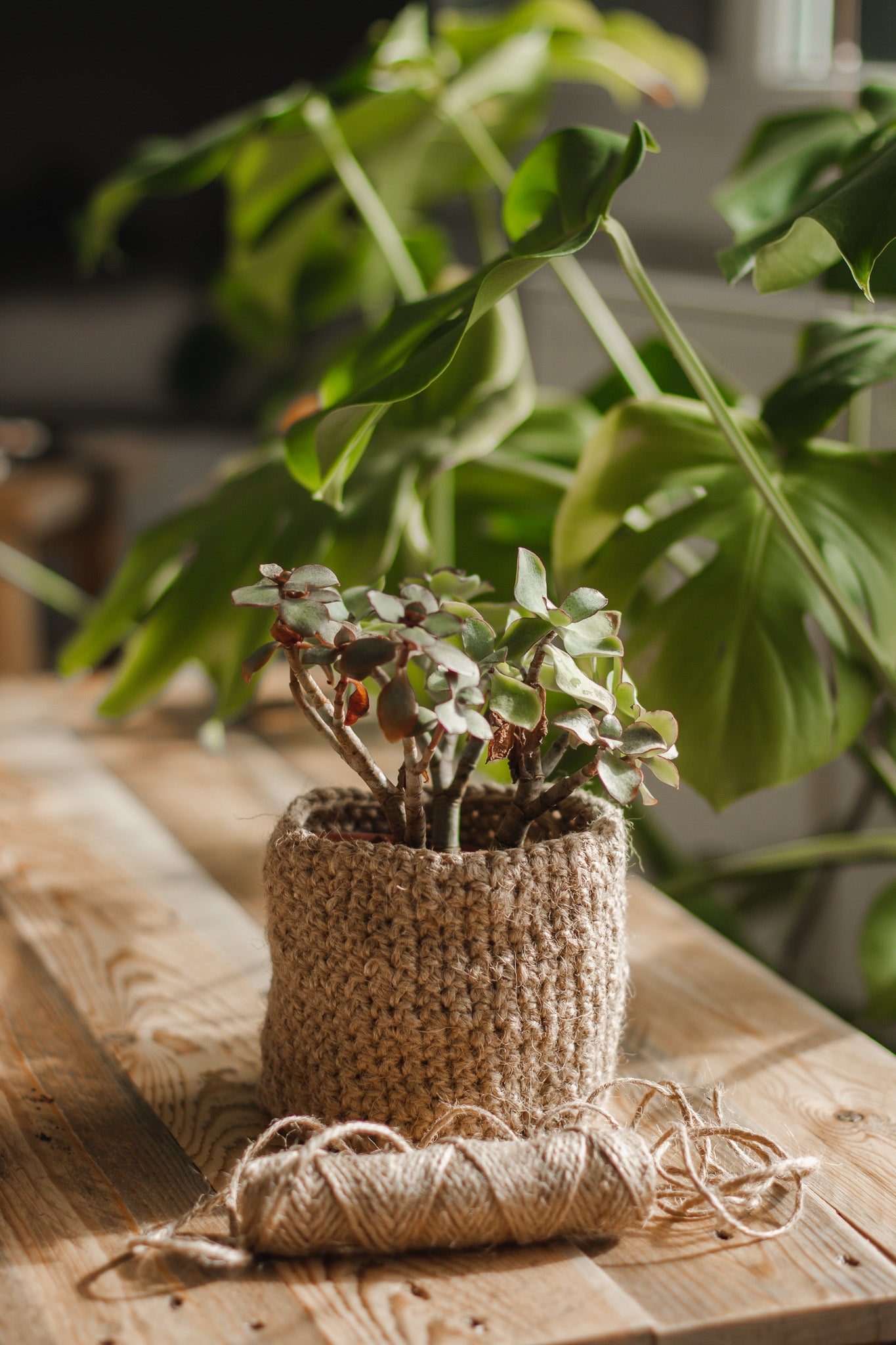 Crochet Twine Planter