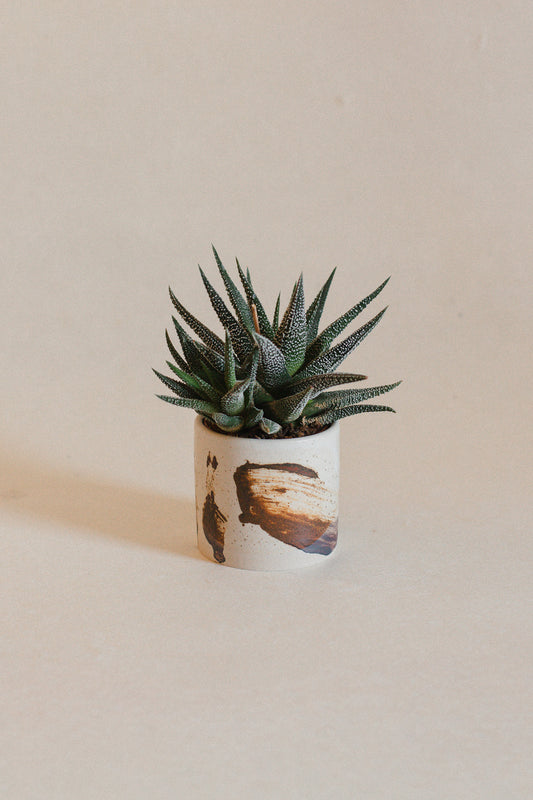 Brushed Sienna Mini Plant Pot