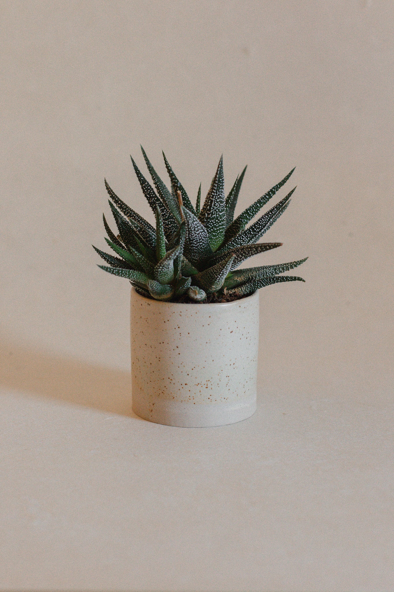 Eggshell Mini Plant Pot