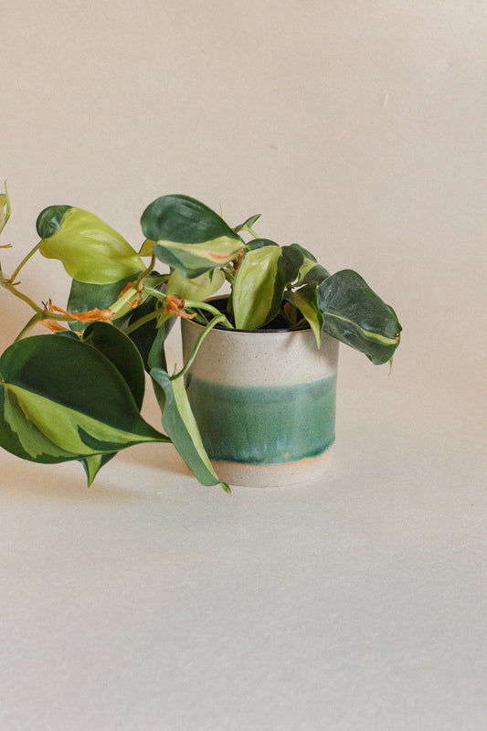Willow Ceramic Plant Pot
