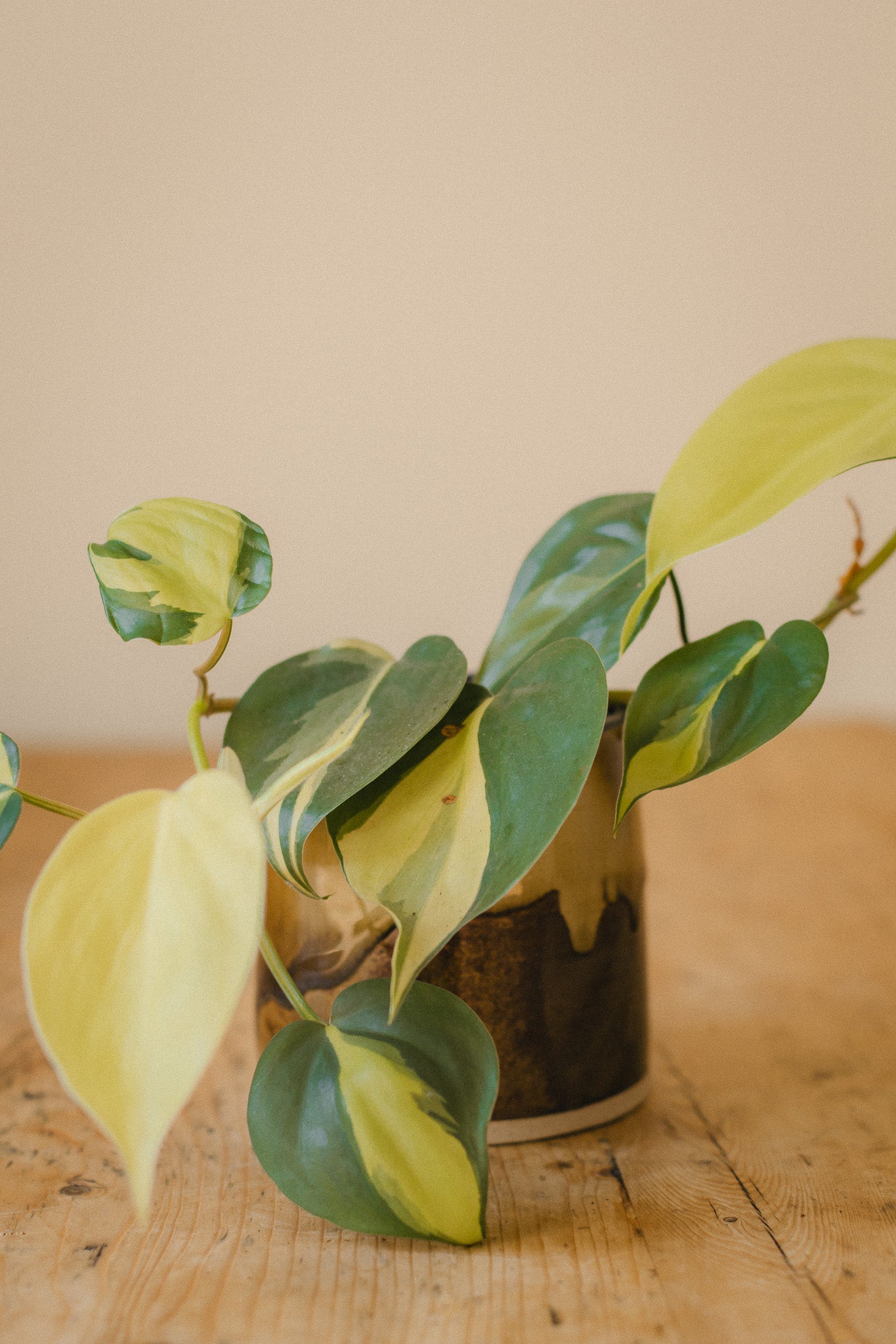 Woodland Glaze Ceramic Planter