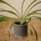 Slate-Grey Storm Glaze Ceramic Planter