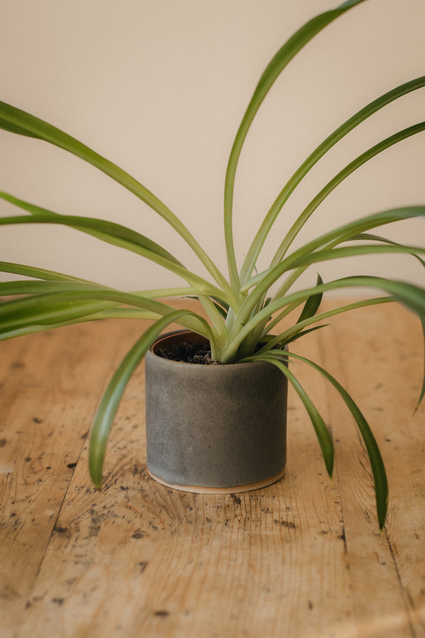 Slate-Grey Storm Glaze Ceramic Planter