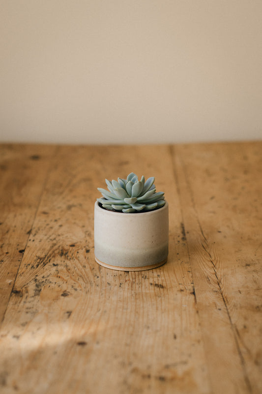 Duo Toned Mini Ceramic Planter