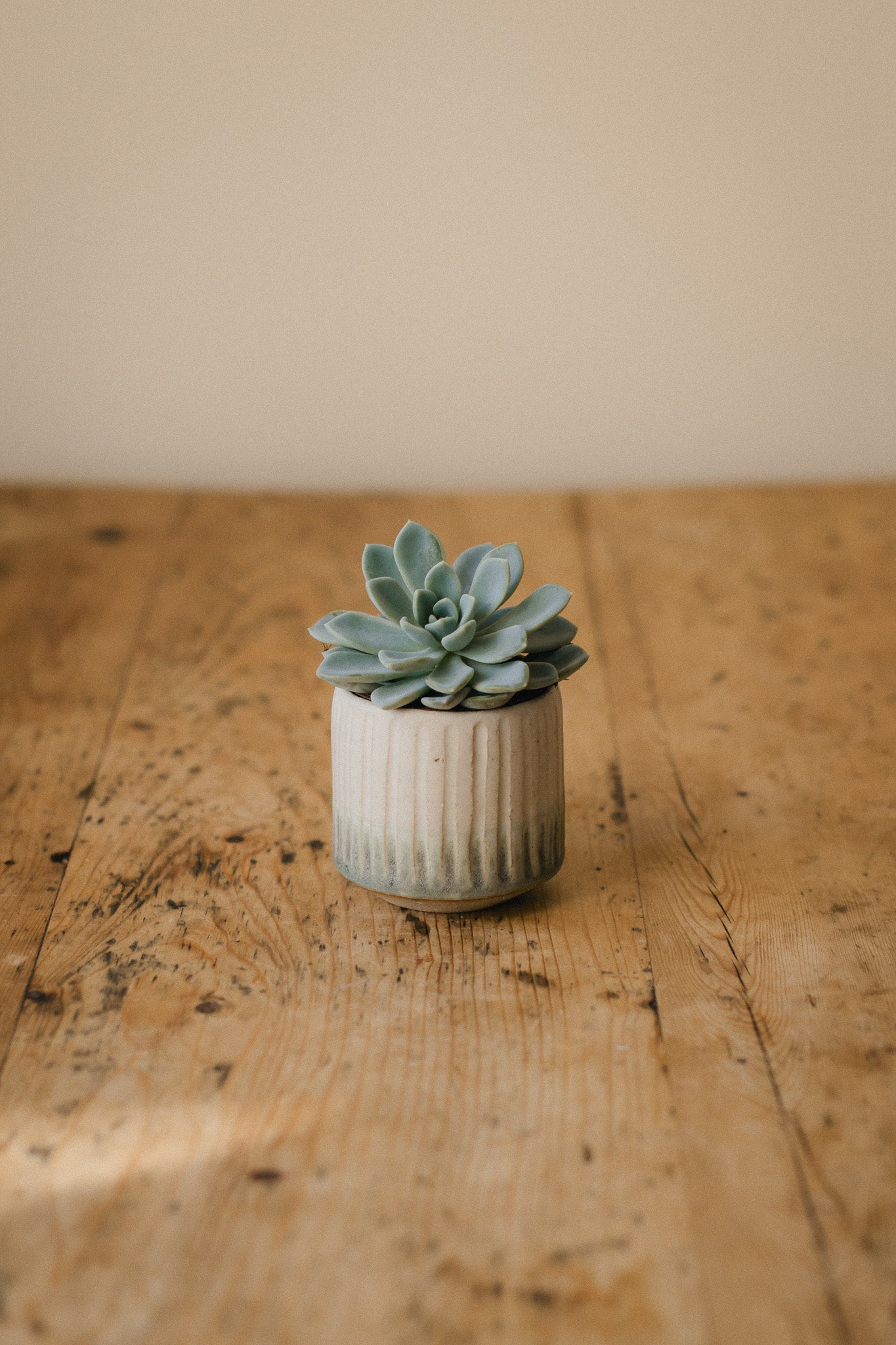 Fluted Mini Ceramic Planter