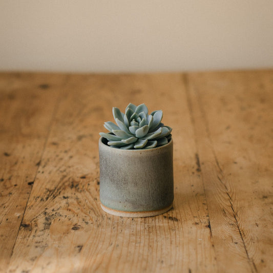 Ocean Jade Mini Ceramic Planter