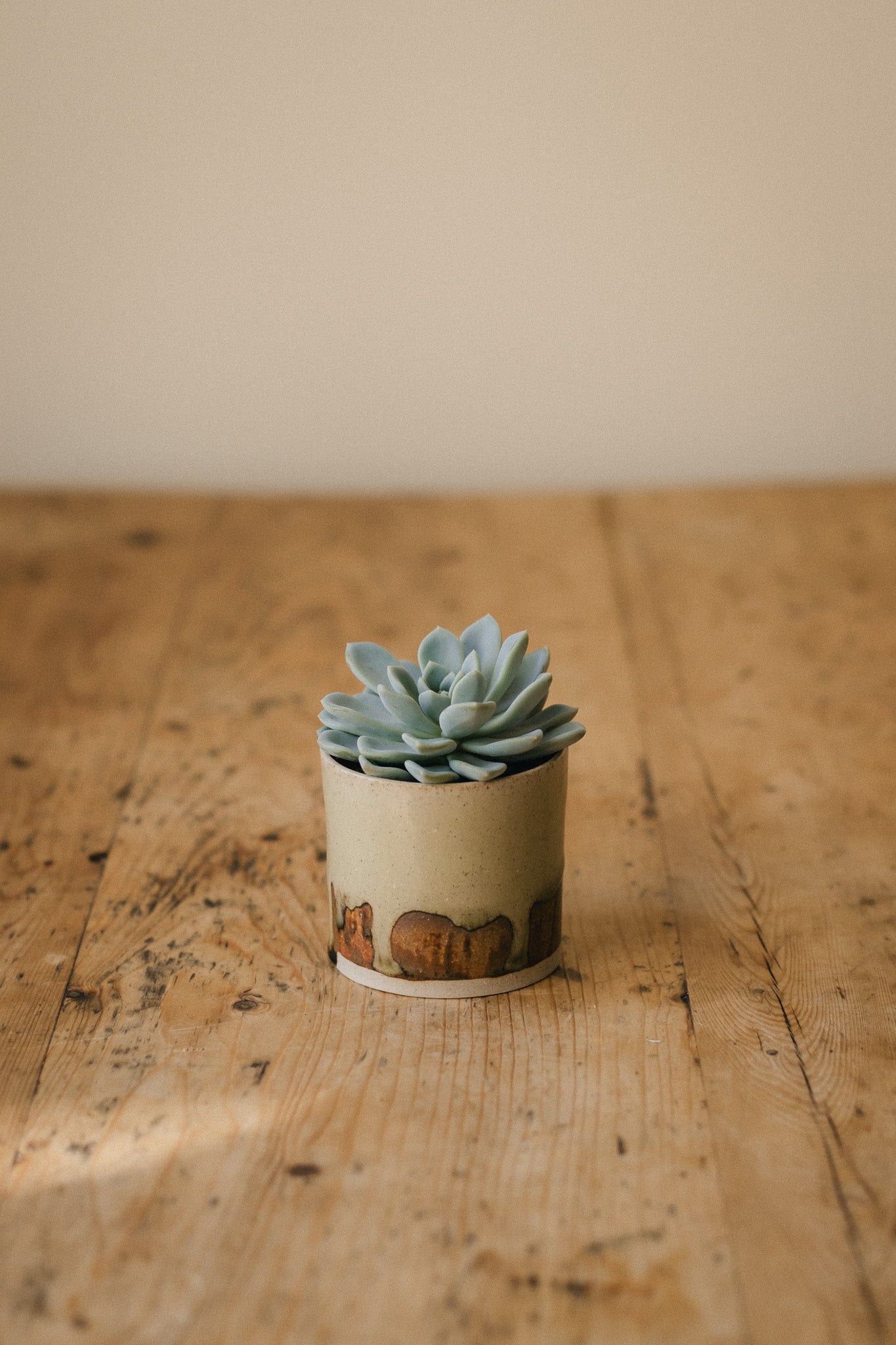 Green-Brown Mini Ceramic Planter