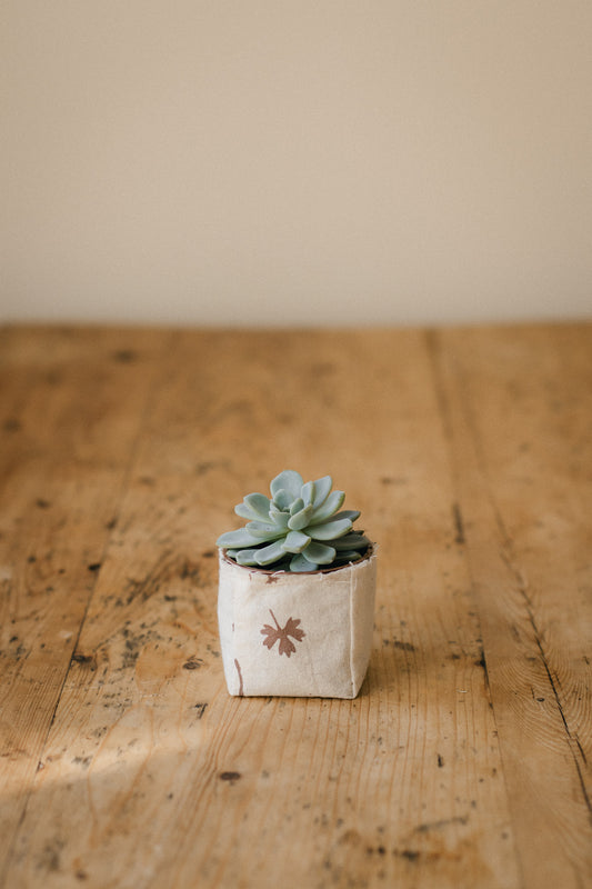 Cream Mini Fabric Planter