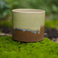 Drip Green and Brown Planter