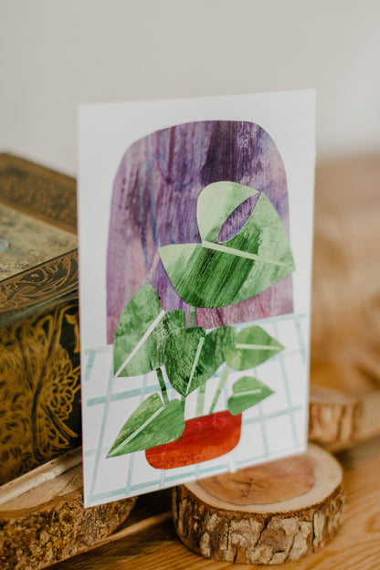 Original Collage Monstera plant