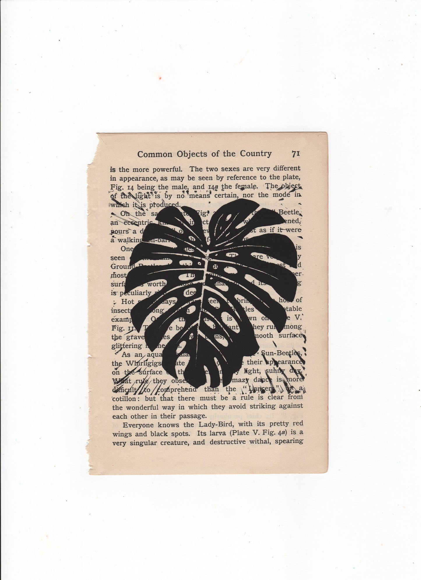 Monstera Leaf Linocut Print