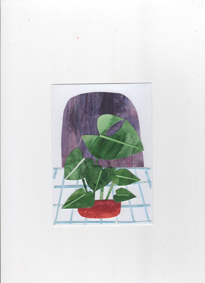 Original Collage Monstera plant